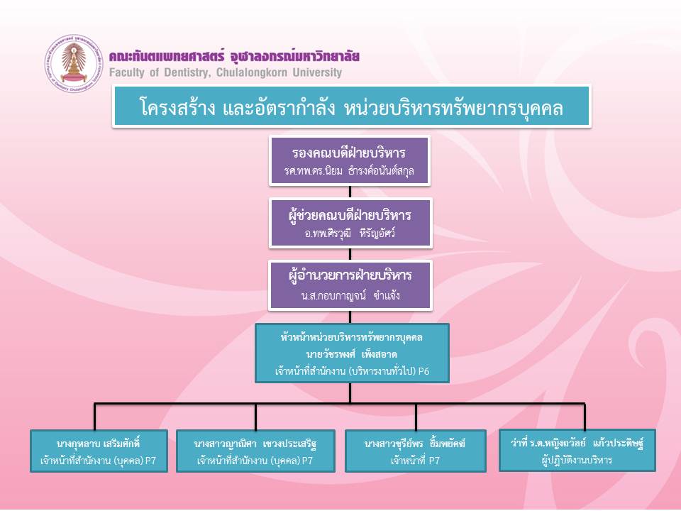 file 163 th 4845 คณะทันตแพทยศาสตร์ จุฬาลงกรณ์มหาวิทยาลัย