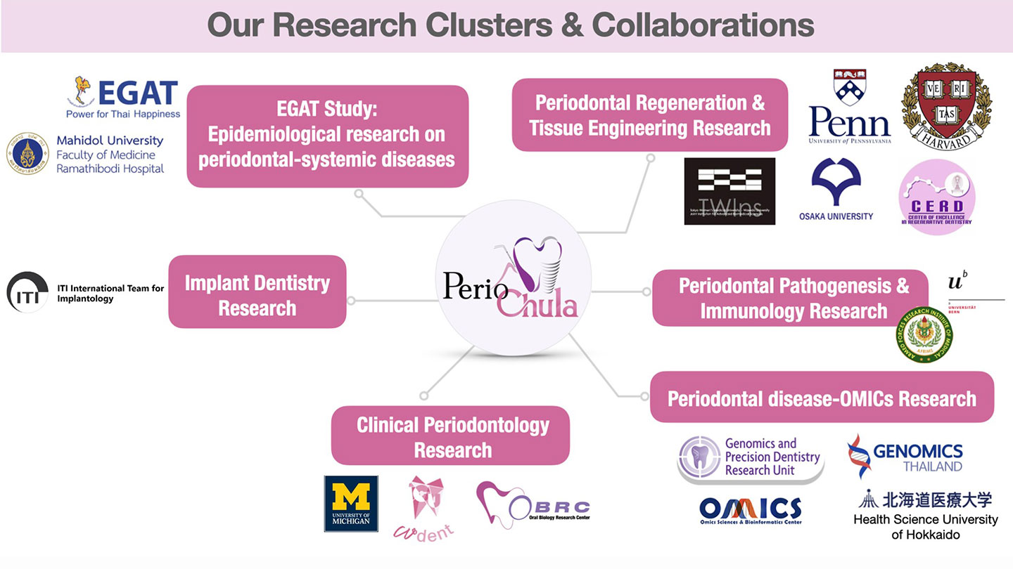Perio Research Clusters Collaborations คณะทันตแพทยศาสตร์ จุฬาลงกรณ์มหาวิทยาลัย
