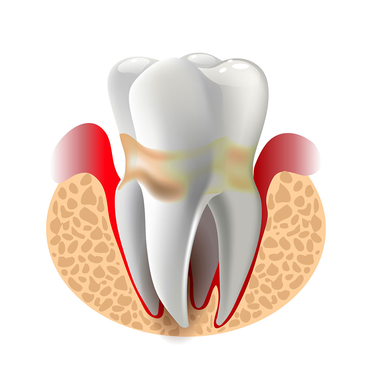 shutterstock 407323069 Faculty of Dentistry, Chulalongkorn University