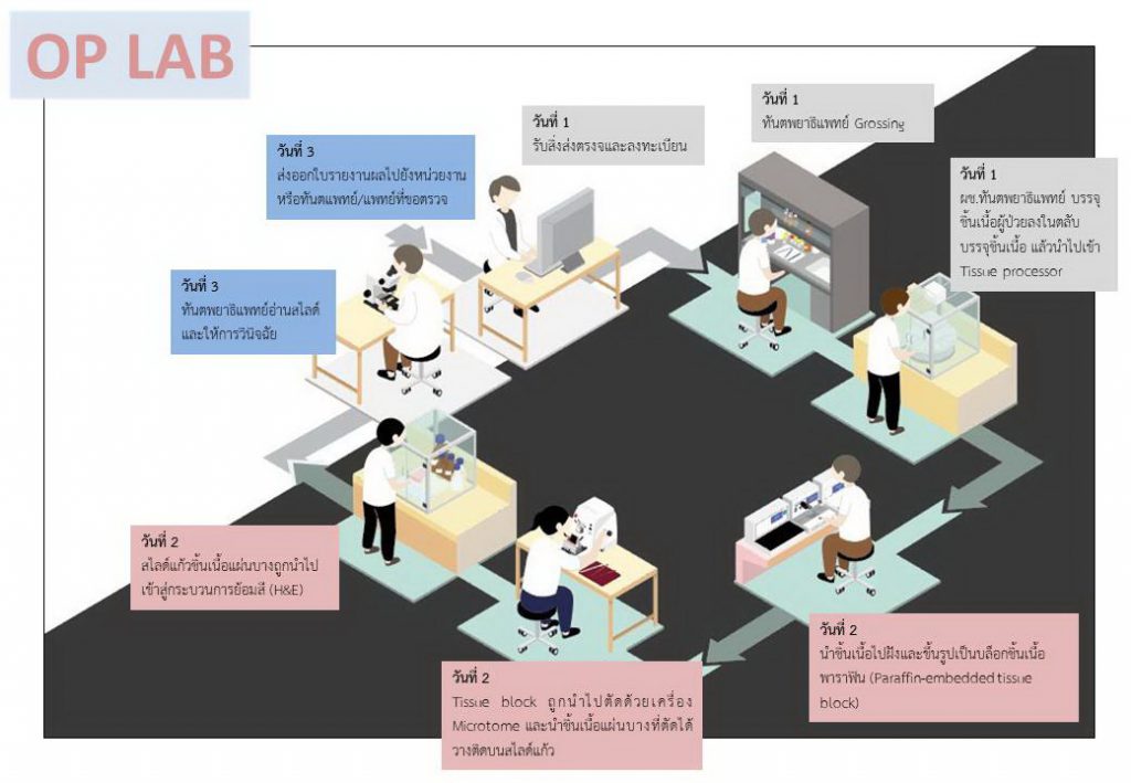 op lab คณะทันตแพทยศาสตร์ จุฬาลงกรณ์มหาวิทยาลัย