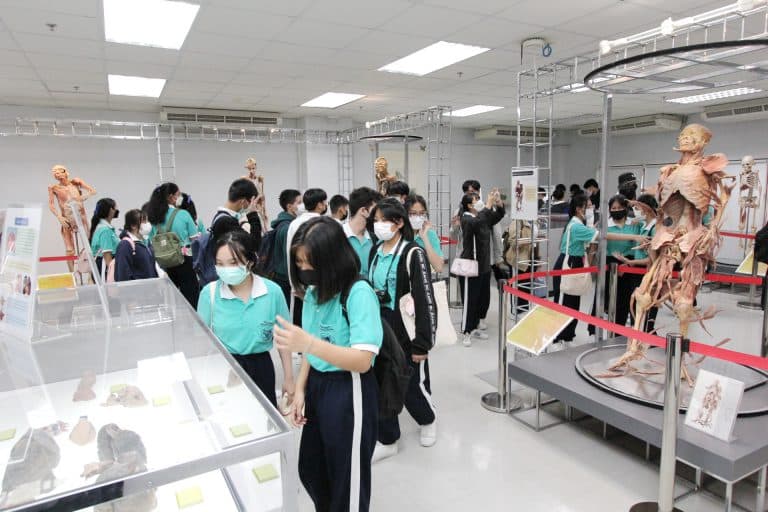 4 พฤศจิกายน 2565 : โรงเรียนมารีวิทย์บ่อวิน จ.ชลบุรี เข้าเยี่ยมชมพิพิธภัณฑ์ของคณะทันตแพทยศาสตร์