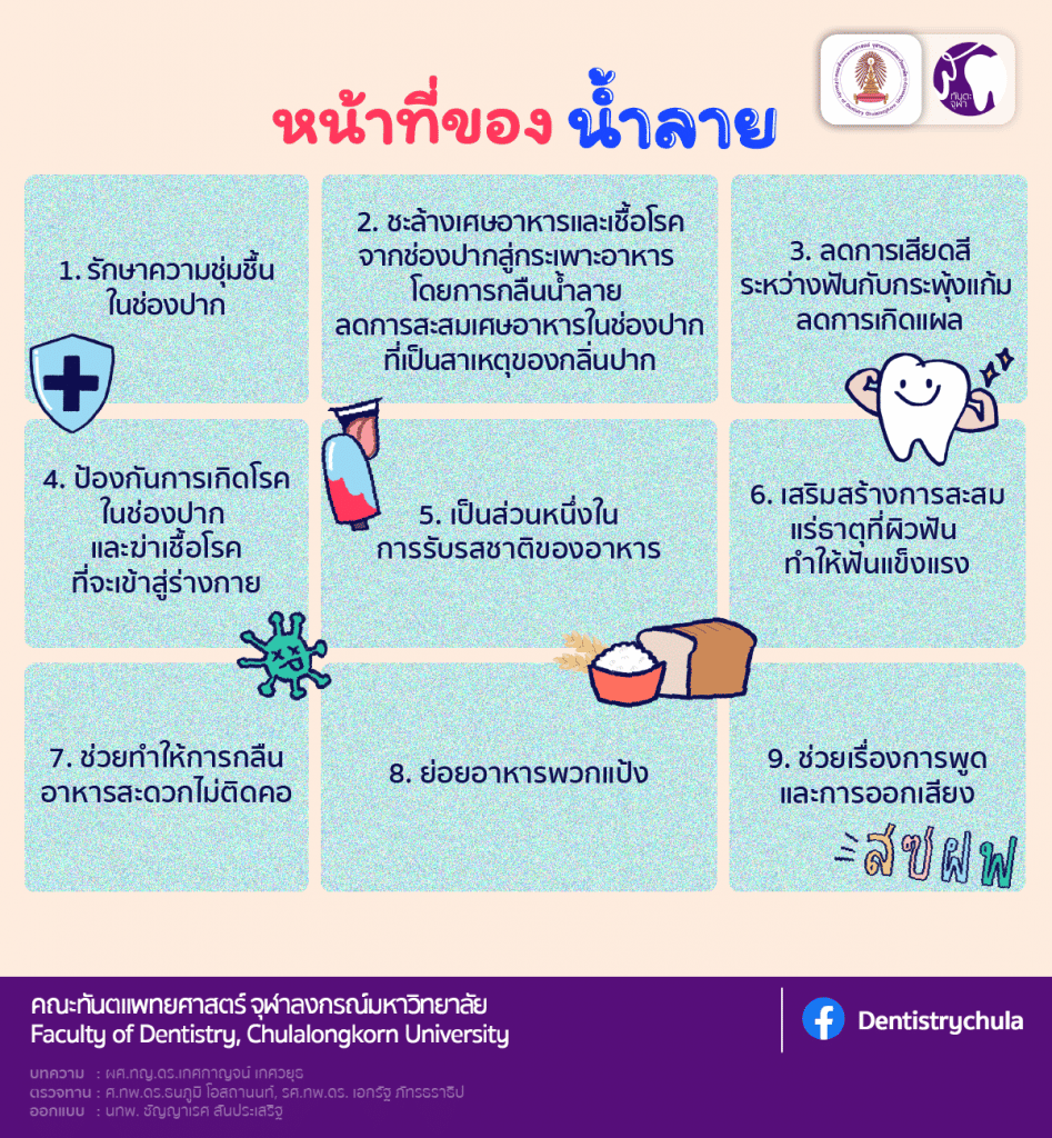 img 4 0052 คณะทันตแพทยศาสตร์ จุฬาลงกรณ์มหาวิทยาลัย