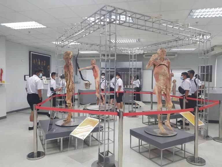 27 มิถุนายน 2565 : โรงเรียนมัธยมวัดสิงห์ เข้าเยี่ยมชมพิพิธภัณฑ์ของคณะทันตแพทยศาสตร์