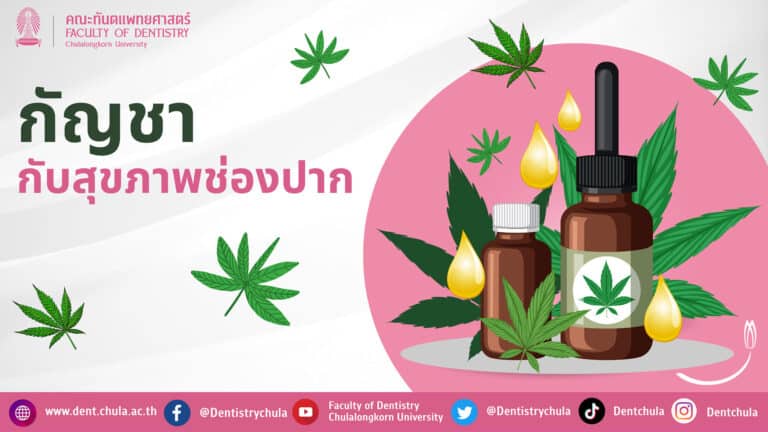 กัญชากับสุขภาพช่องปาก