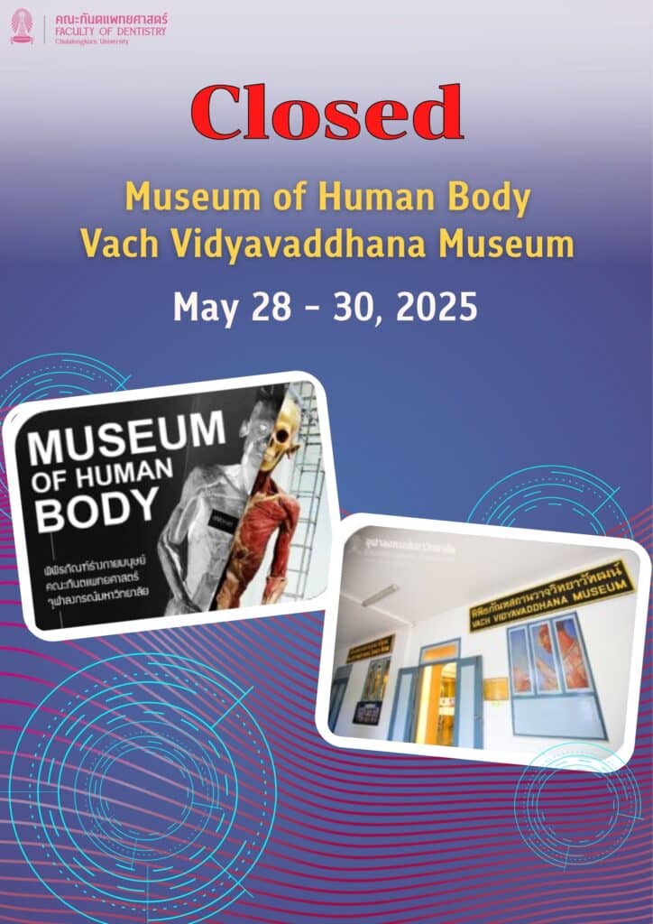 พิพิธภัณฑ์ปิด 28 30 may 2025 en Faculty of Dentistry, Chulalongkorn University