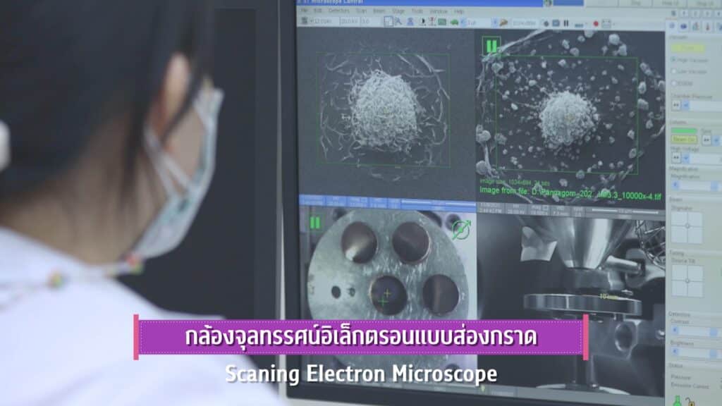 ภาพวิจัย 21 คณะทันตแพทยศาสตร์ จุฬาลงกรณ์มหาวิทยาลัย