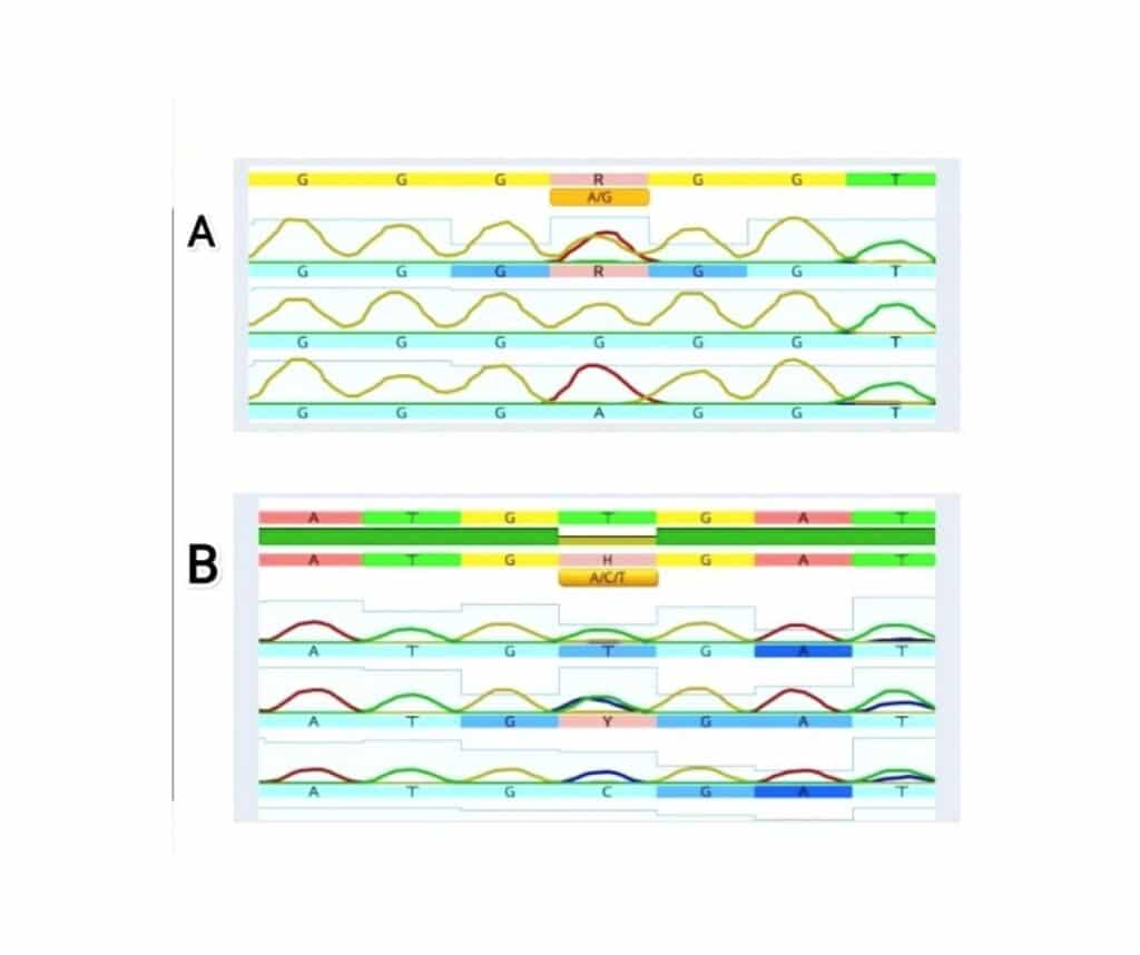 Template ภาพประกอบ Research Highlights 10 คณะทันตแพทยศาสตร์ จุฬาลงกรณ์มหาวิทยาลัย