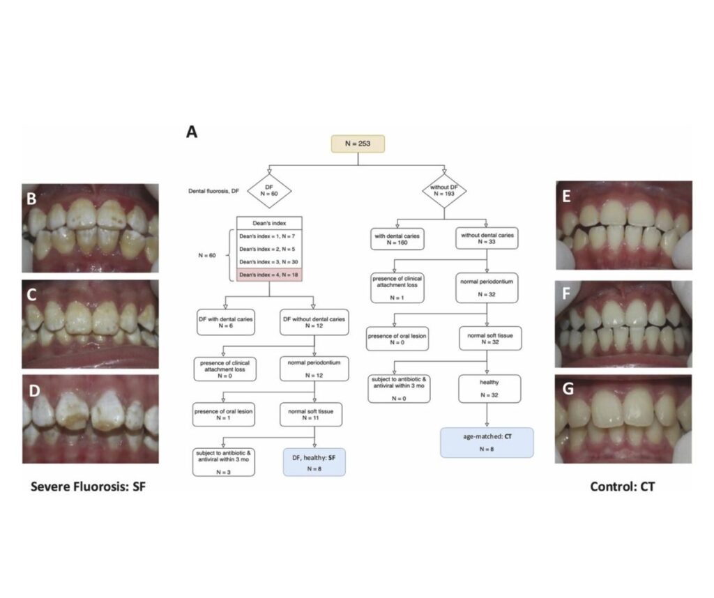 Template ภาพประกอบ Research Highlights คณะทันตแพทยศาสตร์ จุฬาลงกรณ์มหาวิทยาลัย