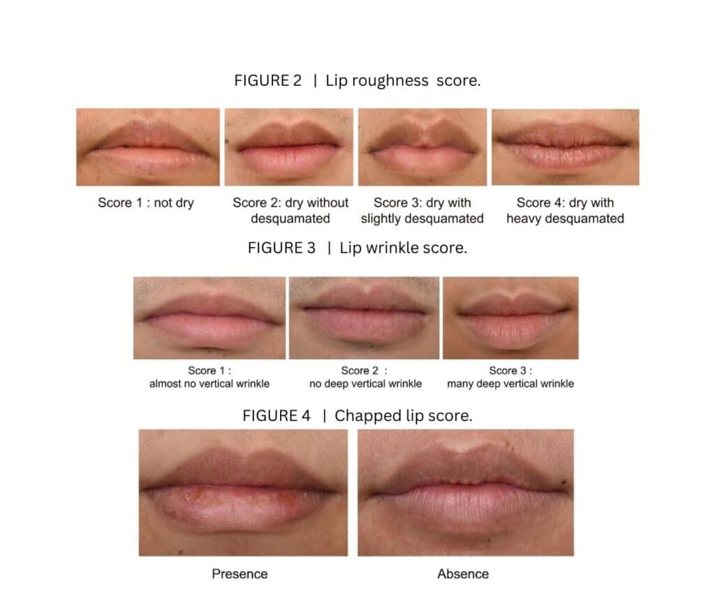 Template ภาพประกอบ Research Highlights 13 คณะทันตแพทยศาสตร์ จุฬาลงกรณ์มหาวิทยาลัย