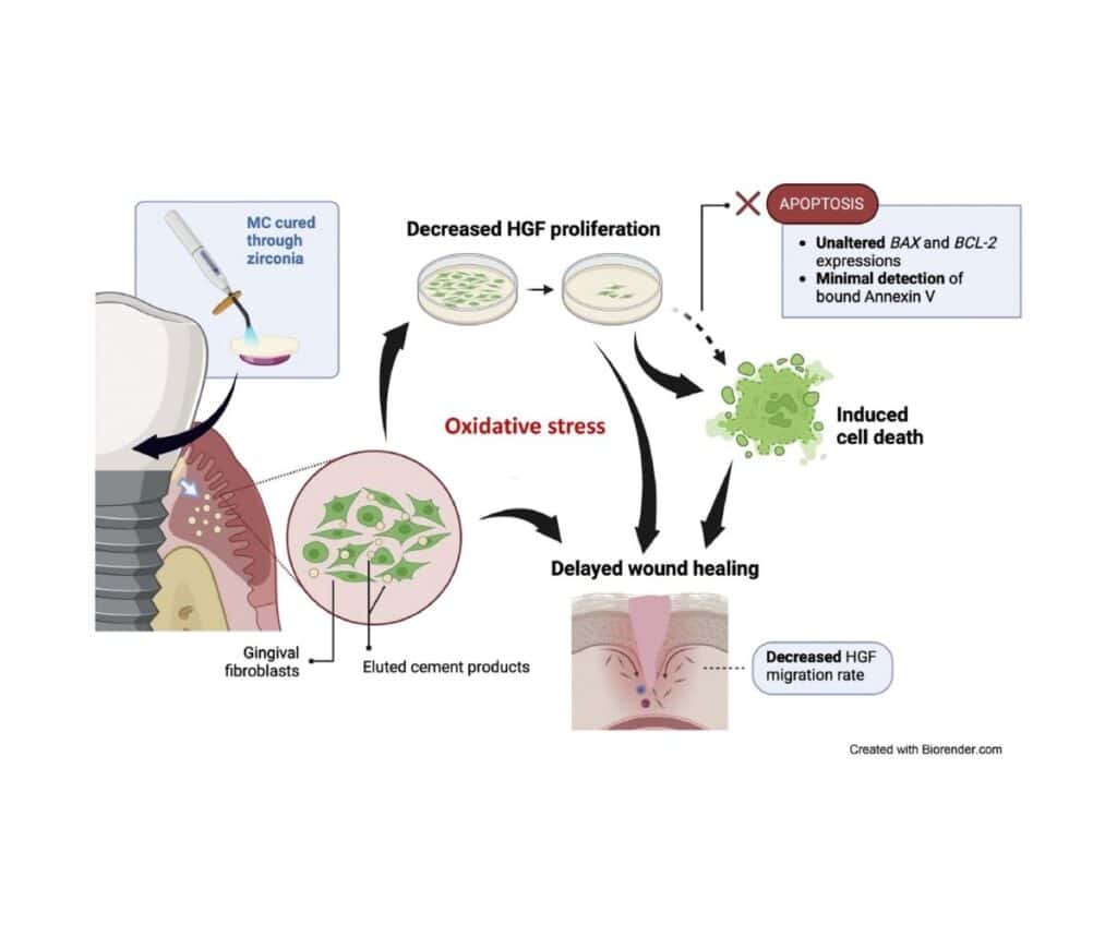 Template ภาพประกอบ Research Highlights 16 Faculty of Dentistry, Chulalongkorn University