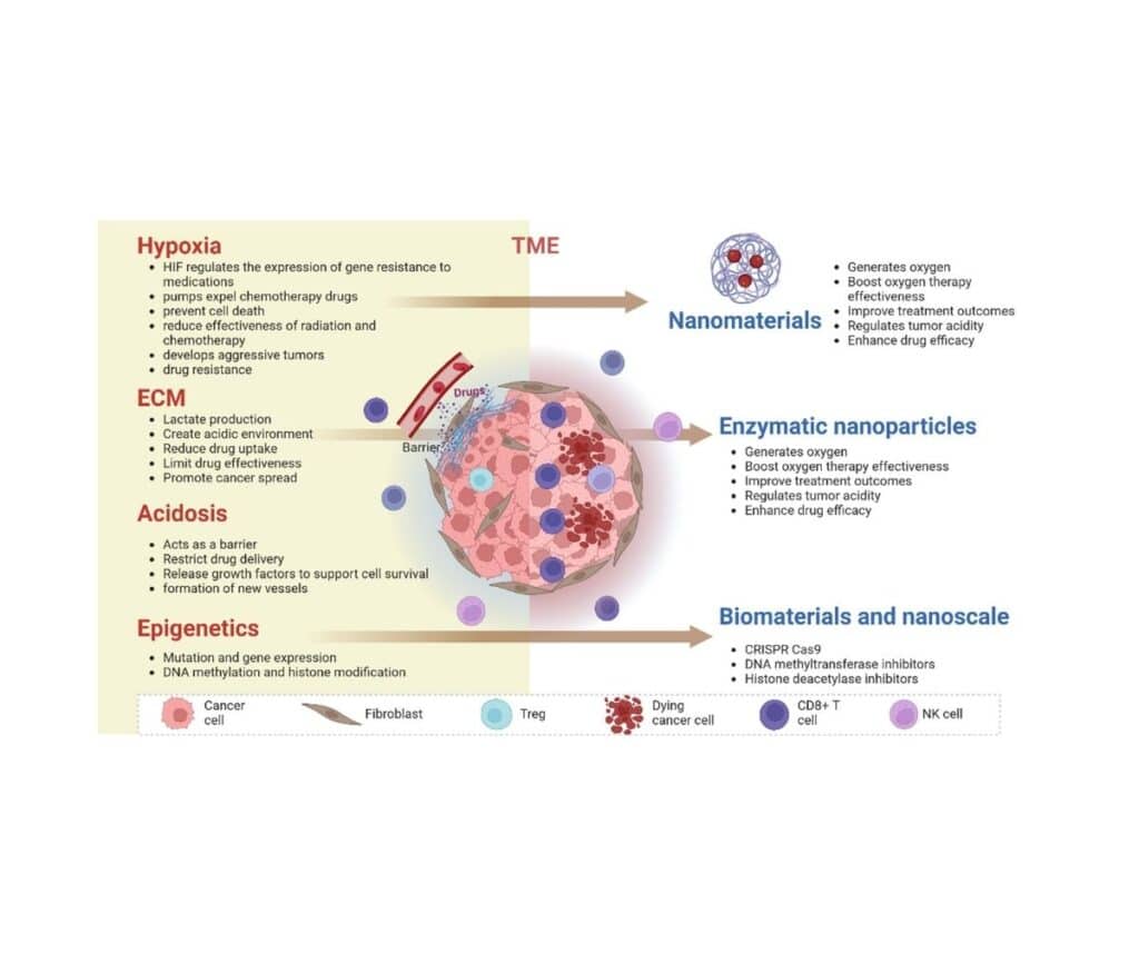 Template ภาพประกอบ Research Highlights 18 1 Faculty of Dentistry, Chulalongkorn University
