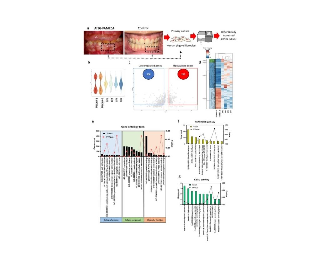 Template ภาพประกอบ Research Highlights 27 คณะทันตแพทยศาสตร์ จุฬาลงกรณ์มหาวิทยาลัย