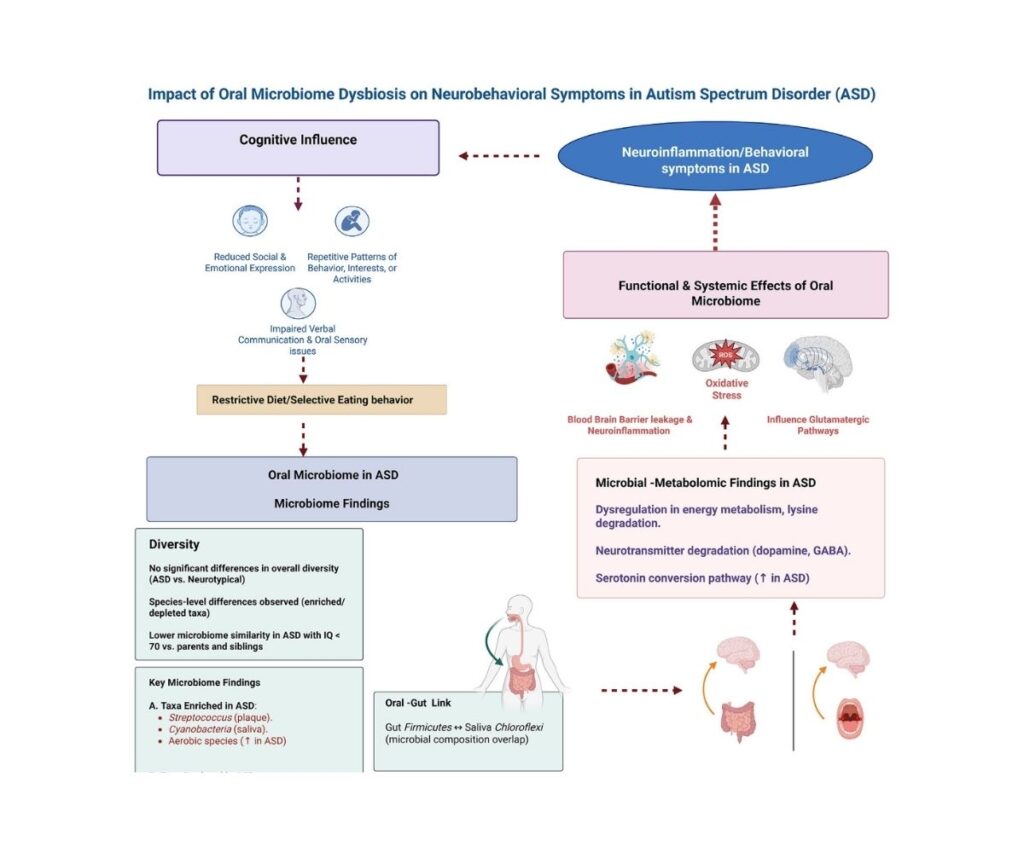 Template ภาพประกอบ Research Highlights 3 คณะทันตแพทยศาสตร์ จุฬาลงกรณ์มหาวิทยาลัย