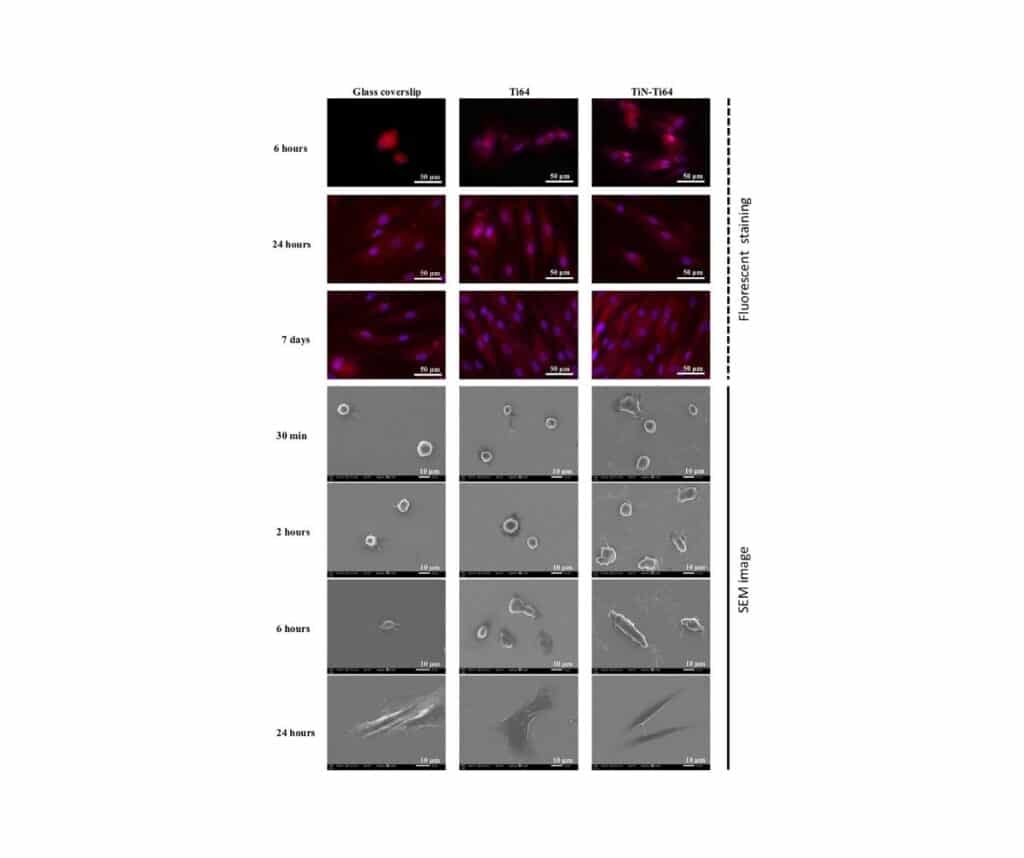 Template ภาพประกอบ Research Highlights 5 คณะทันตแพทยศาสตร์ จุฬาลงกรณ์มหาวิทยาลัย