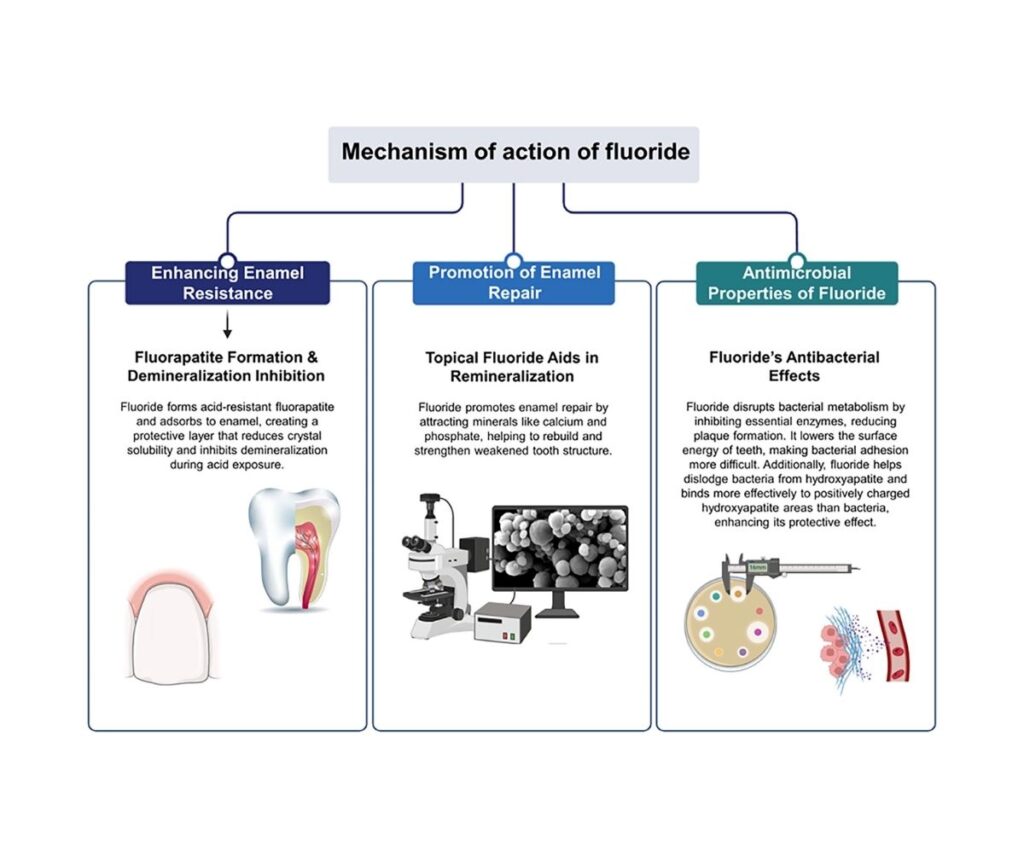 Template ภาพประกอบ Research Highlights 30 คณะทันตแพทยศาสตร์ จุฬาลงกรณ์มหาวิทยาลัย