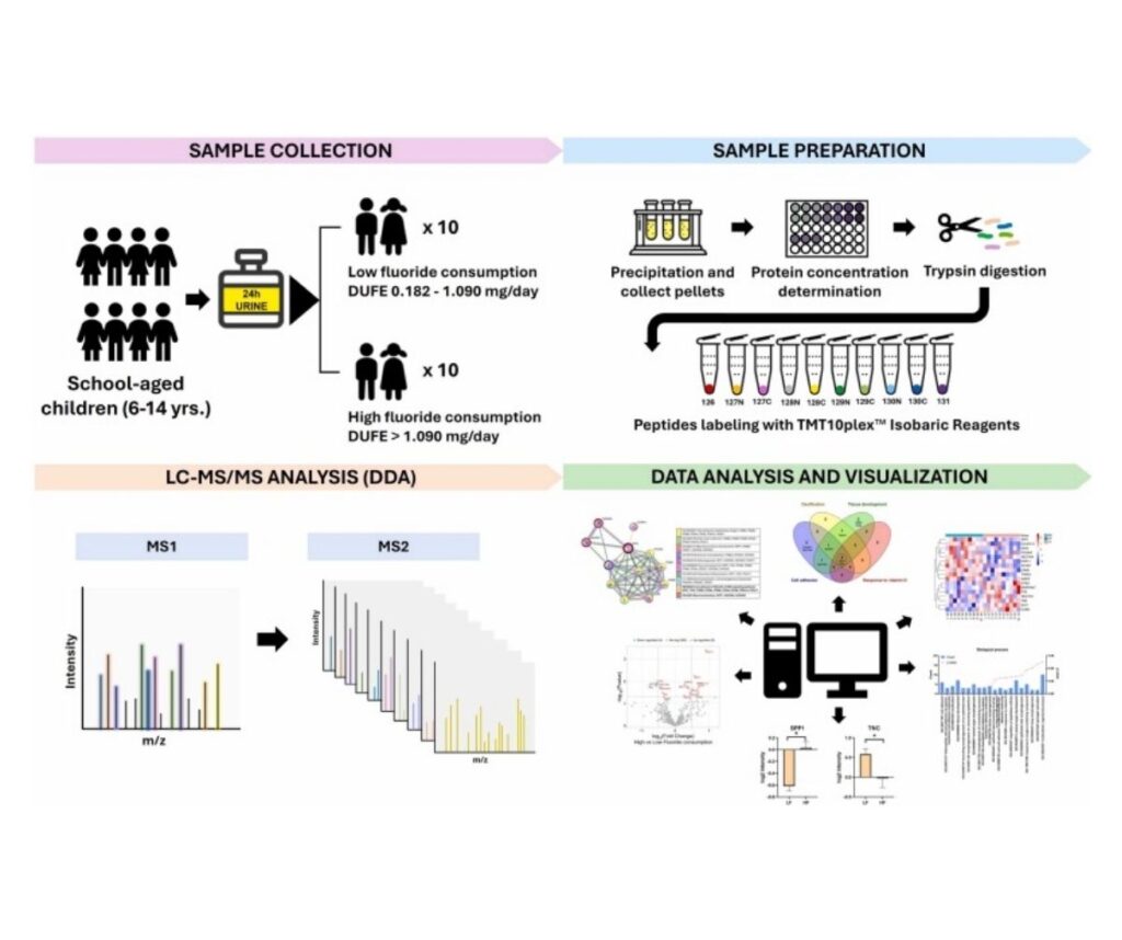 Template ภาพประกอบ Research Highlights 3 Faculty of Dentistry, Chulalongkorn University