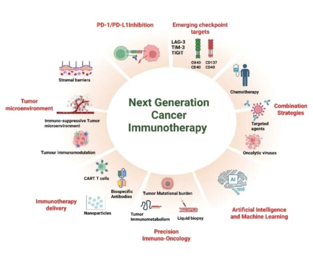 Template ภาพประกอบ Research Highlights 13 Faculty of Dentistry, Chulalongkorn University