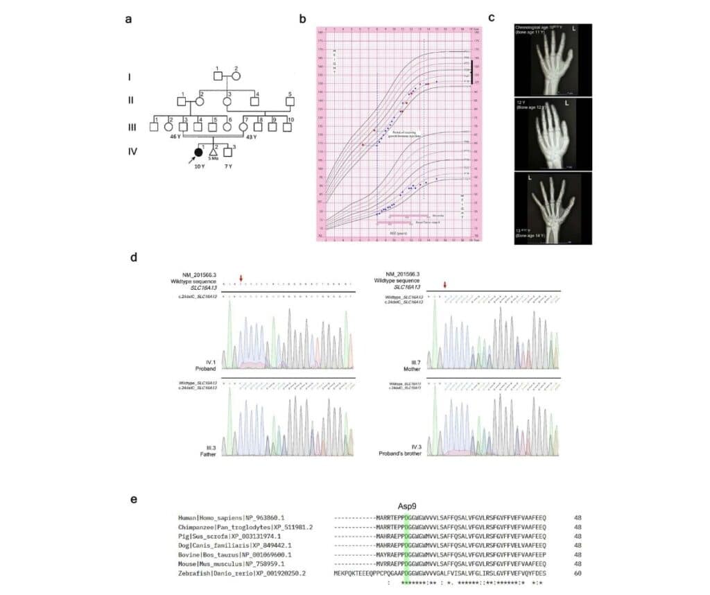 Template ภาพประกอบ Research Highlights 23 คณะทันตแพทยศาสตร์ จุฬาลงกรณ์มหาวิทยาลัย