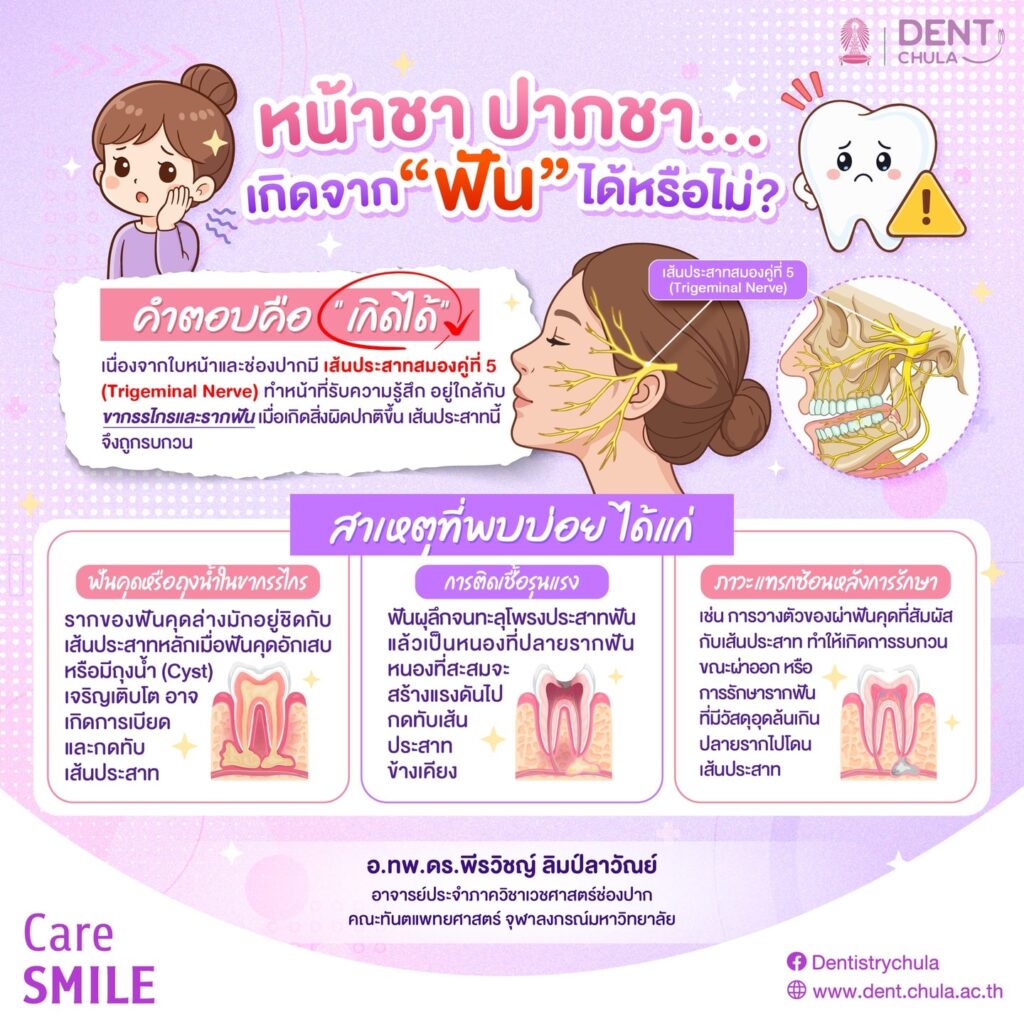 อาการชาหน้า 1 0 คณะทันตแพทยศาสตร์ จุฬาลงกรณ์มหาวิทยาลัย