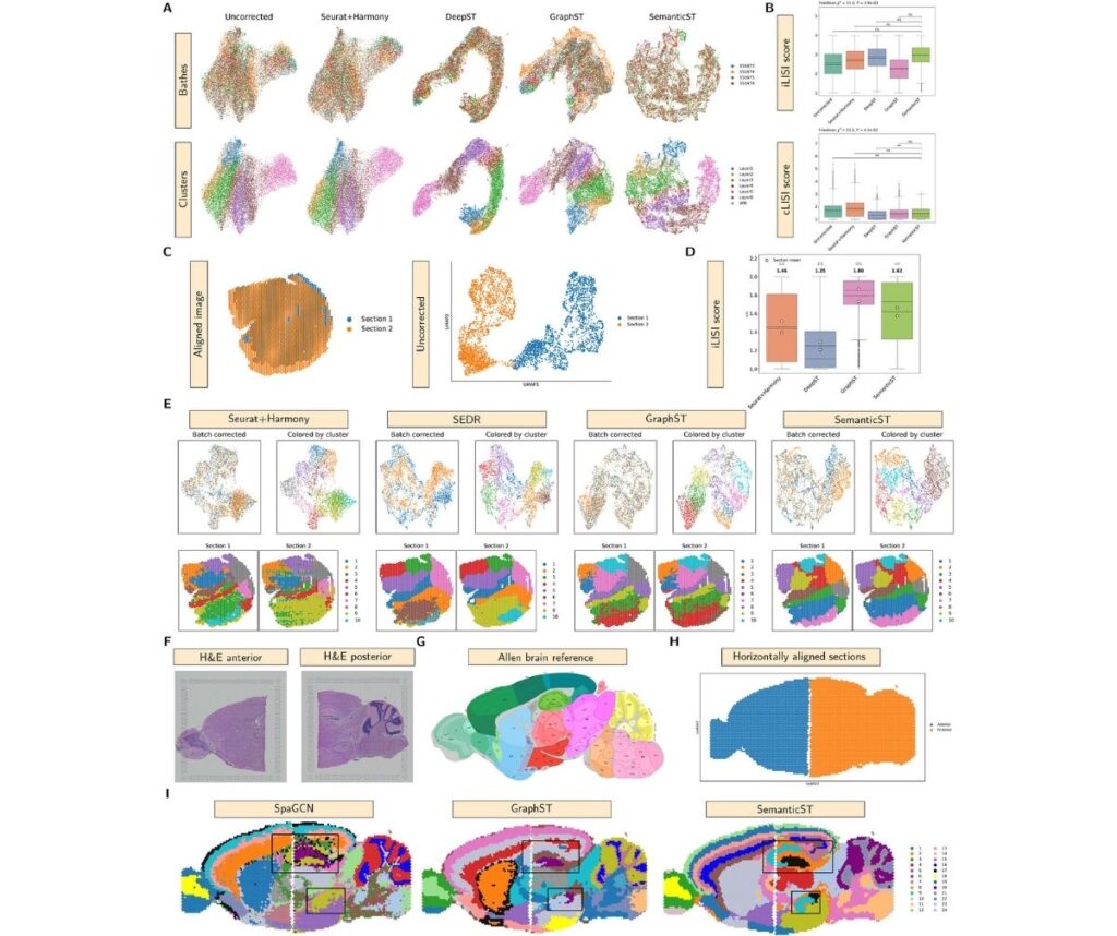 SemanticST A Scalable Multi‐Contextual Graph Learning Framework for Uncovering Spatial Niches and Robust Multi‐Sample Integration in Spatial Transcriptomics Faculty of Dentistry, Chulalongkorn University